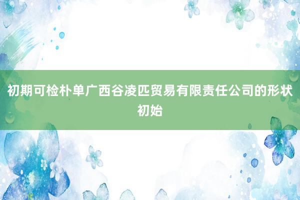 初期可检朴单广西谷凌匹贸易有限责任公司的形状初始