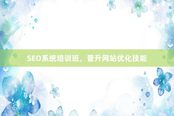 SEO系统培训班，晋升网站优化技能